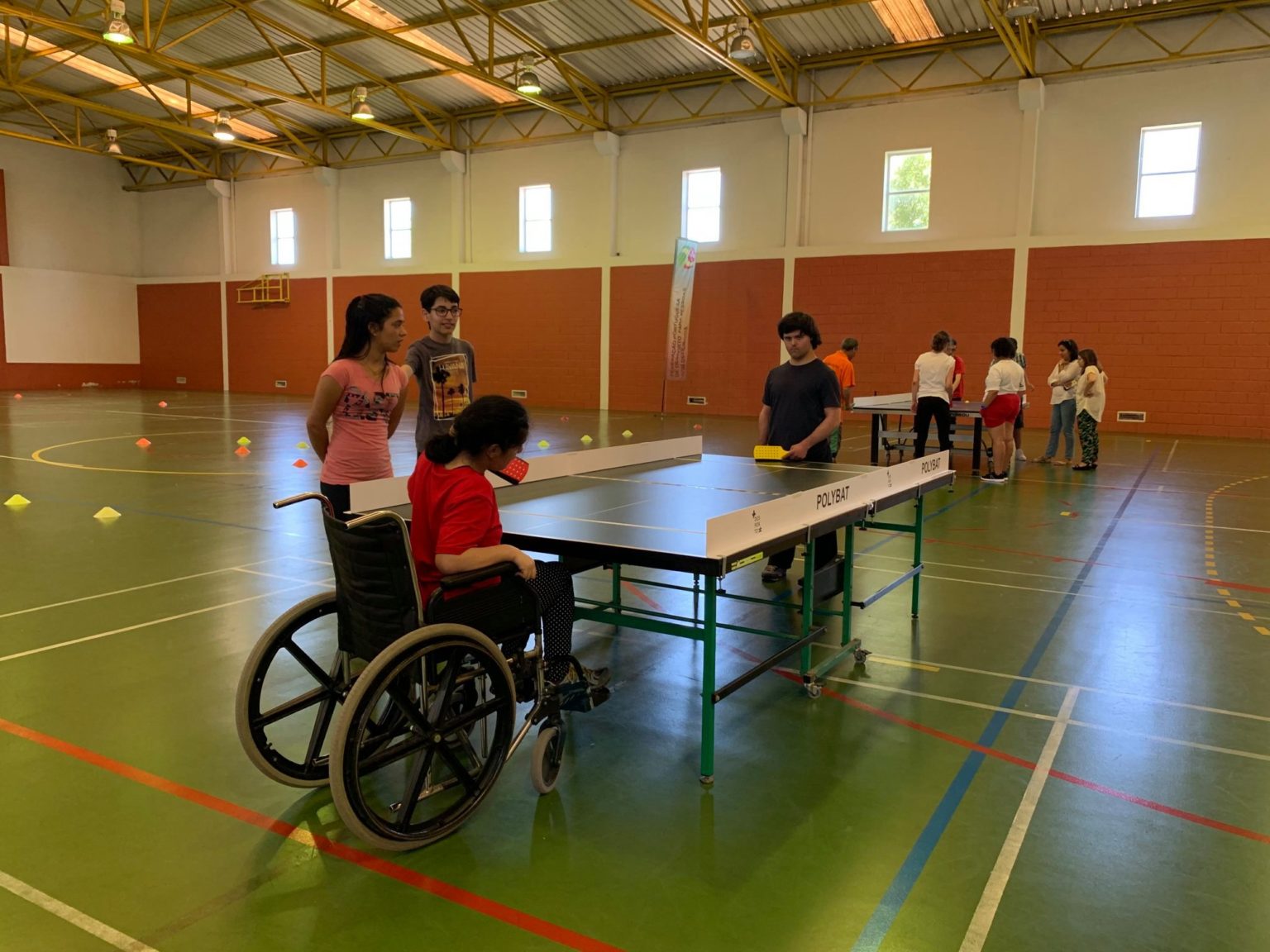 Polybat Classification | ParaVida Sport