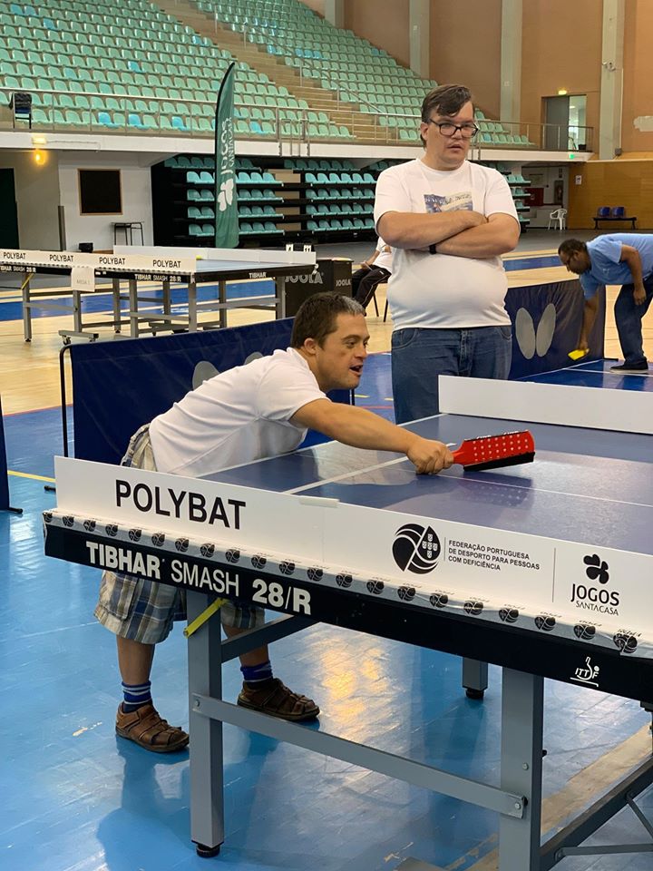 Polybat