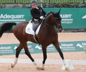 Para-Equestrian and a brief description on eligibility and classifications