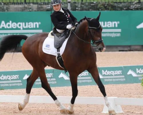 Para-Equestrian and a brief description on eligibility and classifications